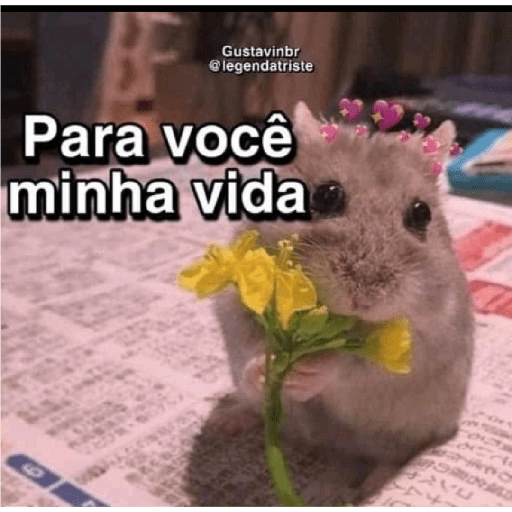 Meu 18