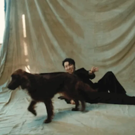 NORMAL BTS  10