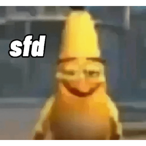 Memes de pássaros 7