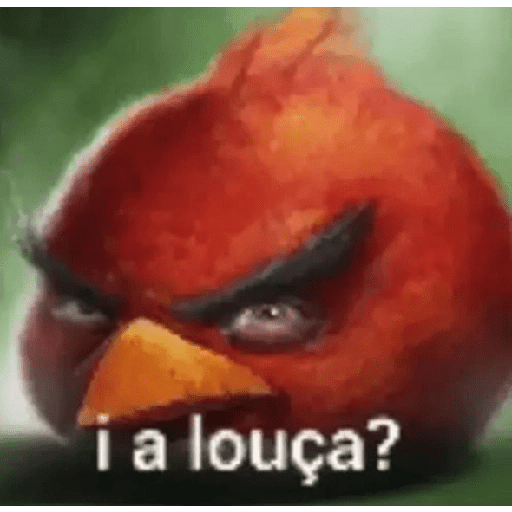 Memes de pássaros 10