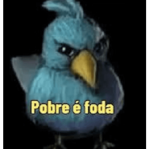 Memes de pássaros 11