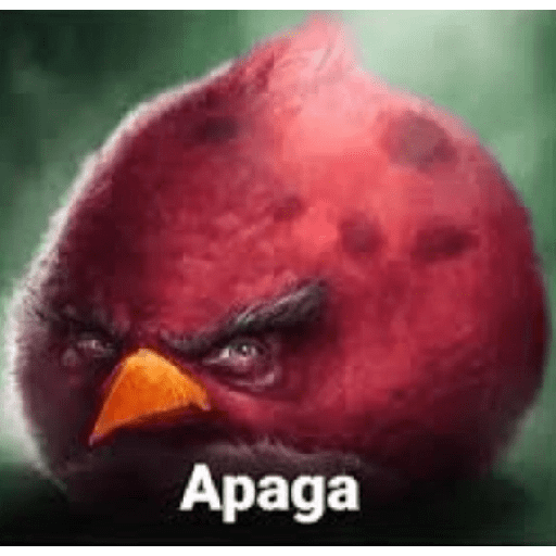 Memes de pássaros 12