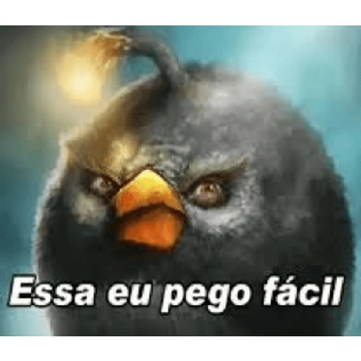 Memes de pássaros 14