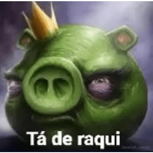 Memes de pássaros 15