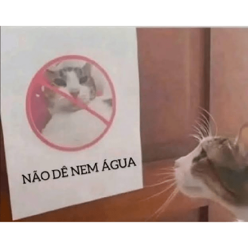 ┐⁠(⁠￣⁠ヘ⁠￣⁠)⁠┌ 4