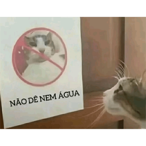 ┐⁠(⁠￣⁠ヘ⁠￣⁠)⁠┌ 5