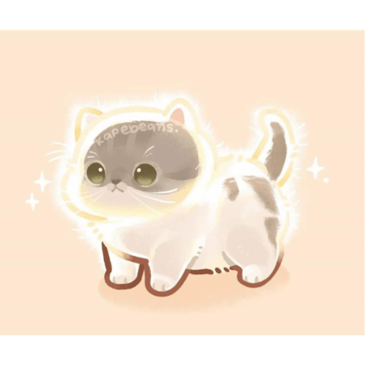 Michis✨ 6
