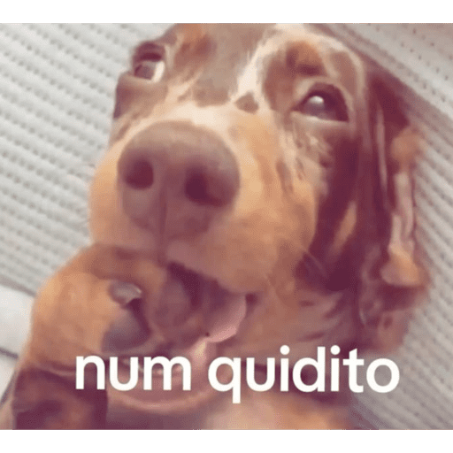 Anus 6