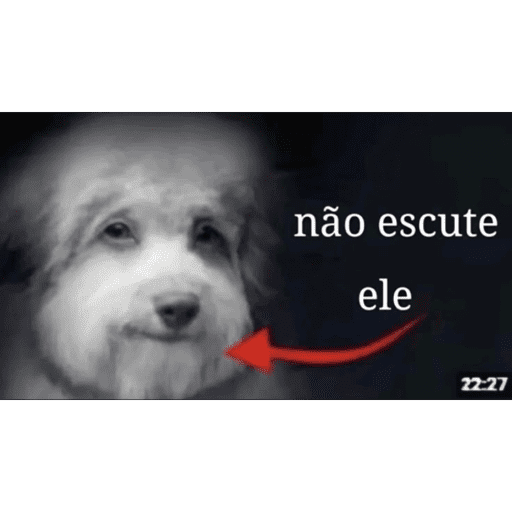 Anus 11