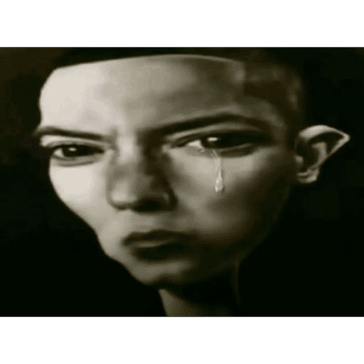 Anus 2