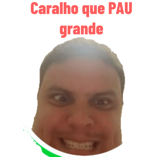 Amigos  6