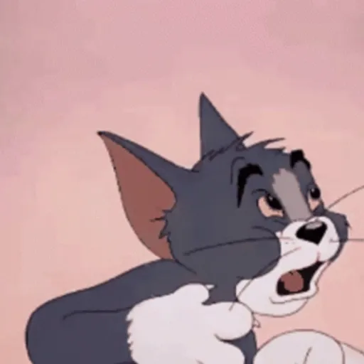 Tom tão  4