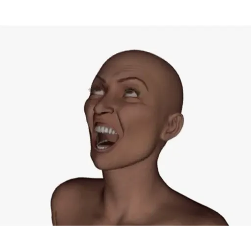 Memes 1