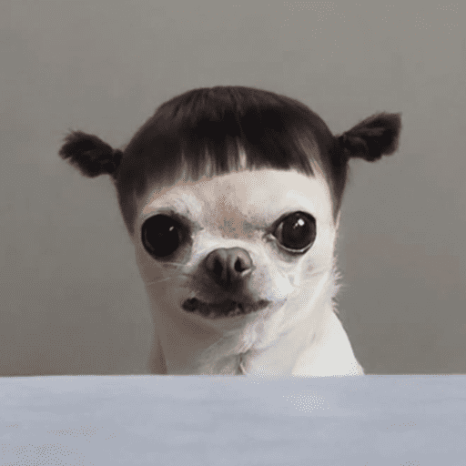 Random 12