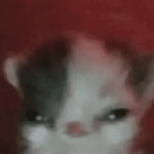 Random 15