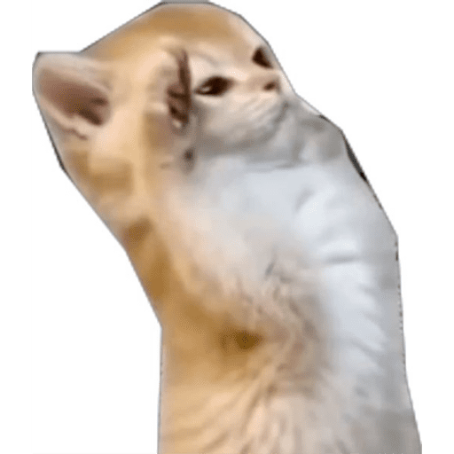 Kiku 7