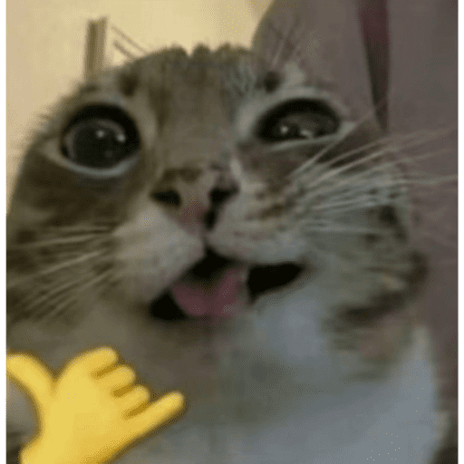 Kiku 3