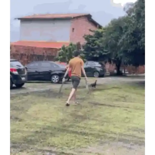Maravilhas  1