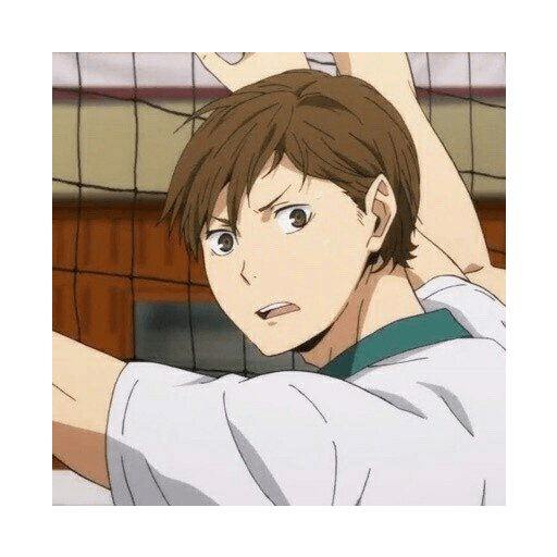 Shoyo🍊, mix 16