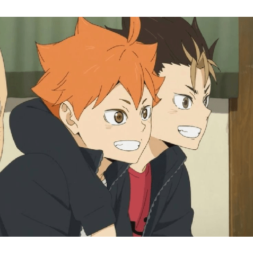 Shoyo🍊, mix 12