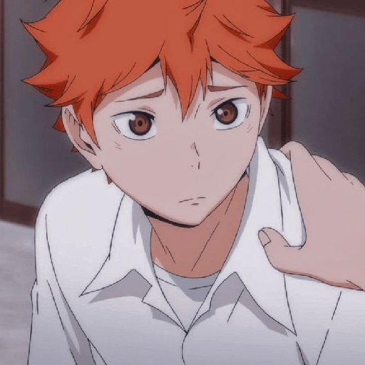 Shoyo🍊, mix 6