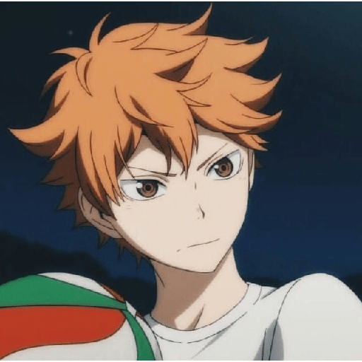Shoyo🍊, mix 8