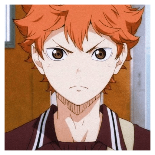 Shoyo🍊, mix 7