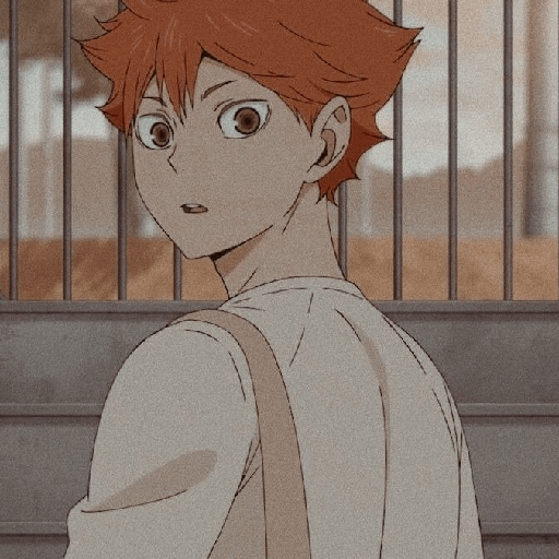 Shoyo🍊, mix 11