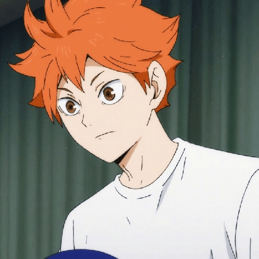 Shoyo🍊, mix 5