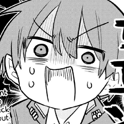 Enojado serio manga 13