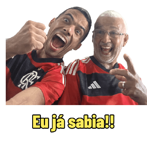 Minhas figurinhas 10