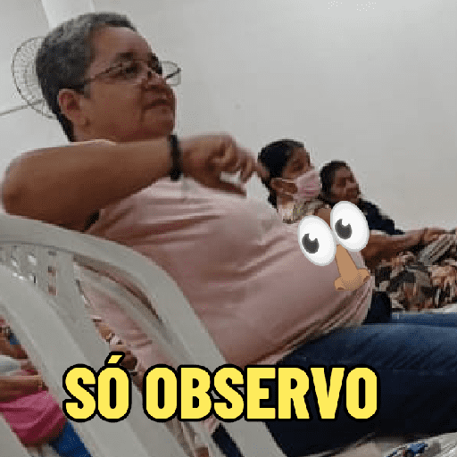 Minhas figurinhas 13
