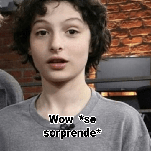 Finn 1