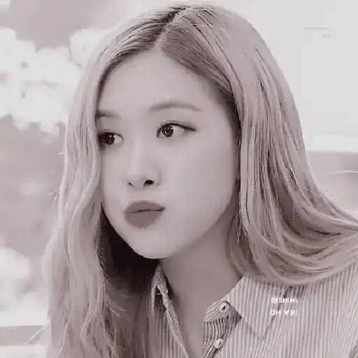 Rose Blackpink 24