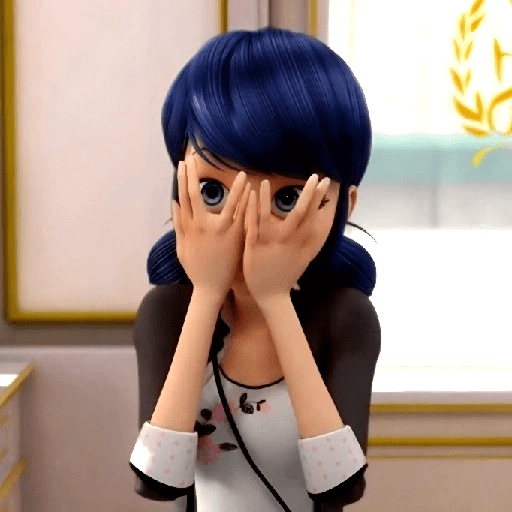 ꣑୧  ꒰ ﹕🐞 𓈒 marinette ꒱ 10