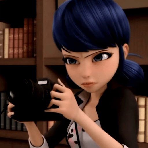 ꣑୧  ꒰ ﹕🐞 𓈒 marinette ꒱ 14