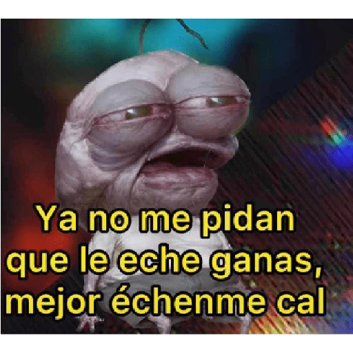 Apoco si 🤨? 3