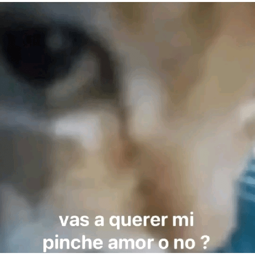 Apoco si 🤨? 2