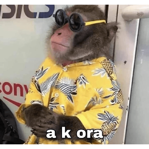Apoco si 🤨?