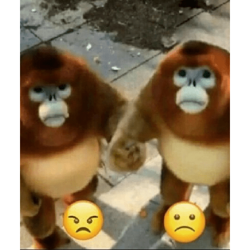 Apoco si 🤨? 13