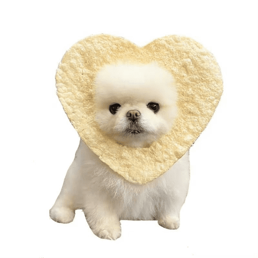 Love n cute  3