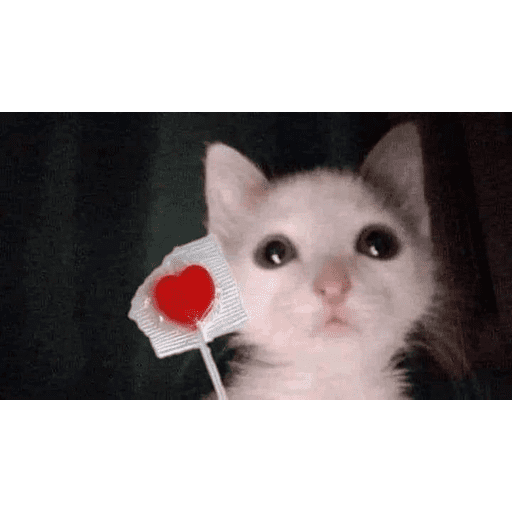 Love n cute  6