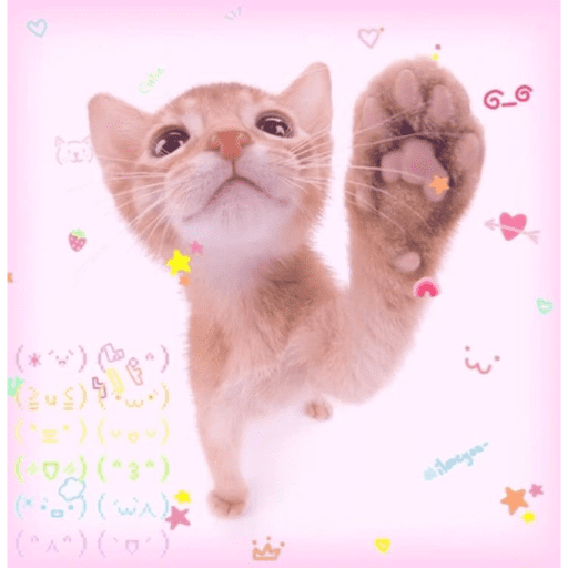 Love n cute  24