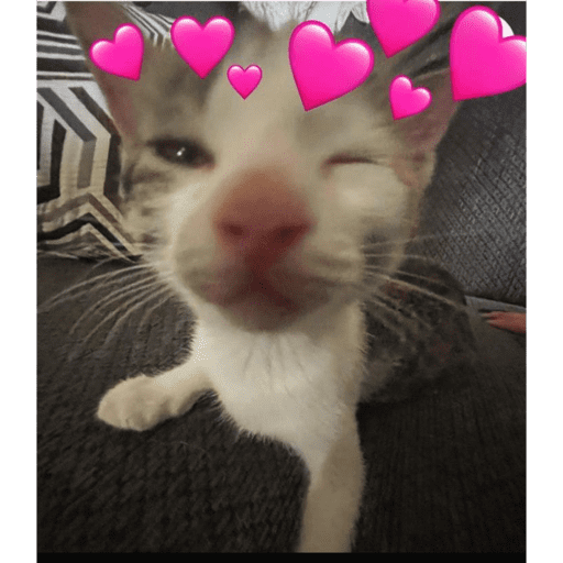 Love n cute  13
