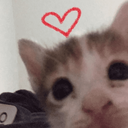 Love n cute  12