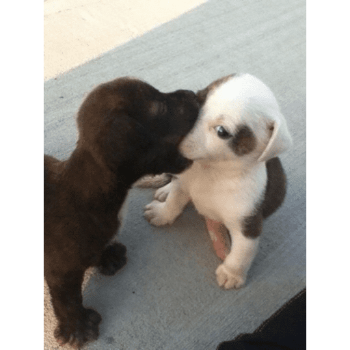 Love n cute  20