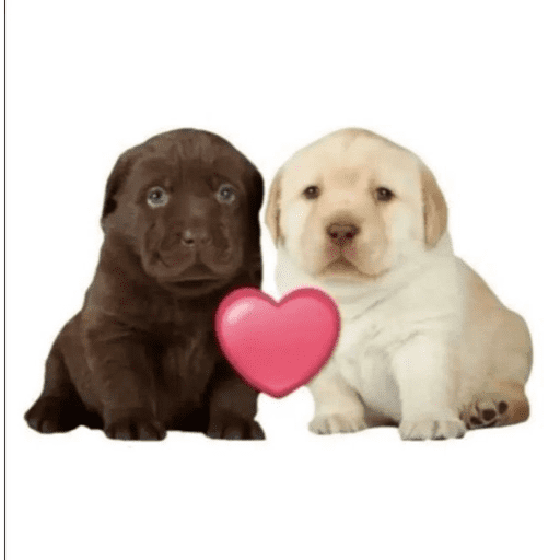 Love n cute  4