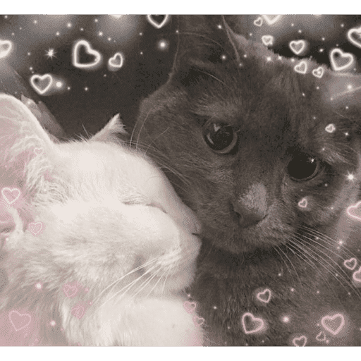 Love n cute  16