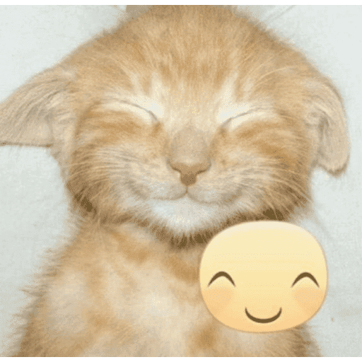 Love n cute  10