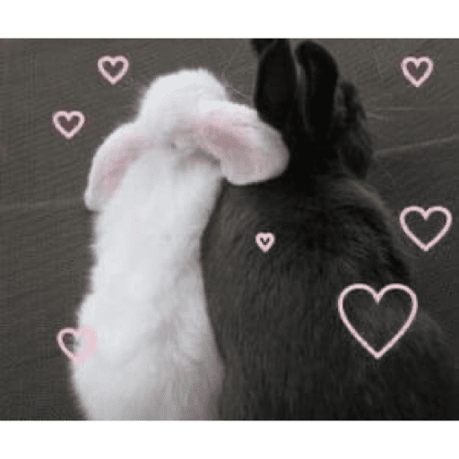 Love n cute  22